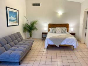 a bedroom with a bed and a couch at Garden and Pool Casita in La Paz +19 photos