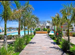 Los BledalesWater House的一条棕榈树和游泳池的小路