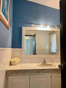 un bagno con lavandino e specchio di Casa Flor y Agua a La Ardilla