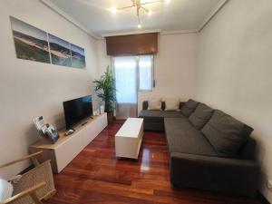 a living room with a couch and a tv at Monzubi Etxi in Guernica y Luno