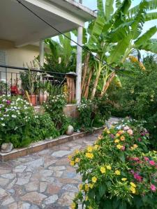 Zahrada ubytování 4 Seasons Suites Paradise Athens Airport 2