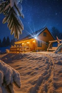 een blokhut in de sneeuw 's nachts bij Chata DUDZIAKÓWKA in Werlas