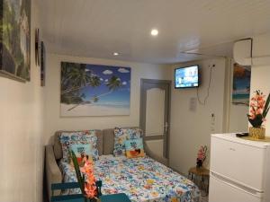 a small living room with a couch and a tv at Charmant studio in Fort-de-France