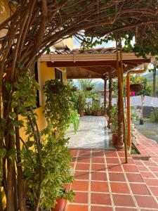 Zahrada ubytování Hospedaje la Glorieta