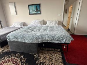 1 dormitorio con 2 camas y alfombra roja en Bright & Fresh with great views, en Tauranga