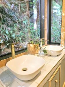 Billede fra billedgalleriet på Beachfront Tree Top House i Tairua