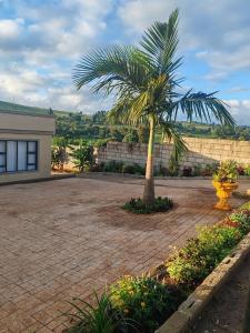 Ekukhanyeni Guest house في Kwaluseni: نخلة في ساحة بجانب مبنى