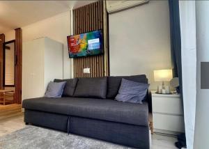 Телевизор и/или развлекательный центр в Villa Valencja Apartments