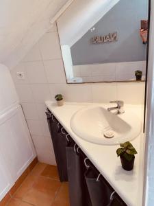 un bagno con lavandino e specchio di Medieval Studio St Eloi a Le Castellet Altre 5 foto