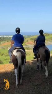Άλλα ζώα σε αυτή η παραθεριστική κατοικία ή στη γύρω περιοχή