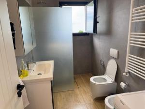 a bathroom with a toilet and a sink and a window at TwinSeas in Draç +22 photos