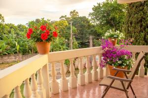 Rõdu või terrass majutusasutuses Holistic Wealth Retreat on the Holistic Wealth Trail