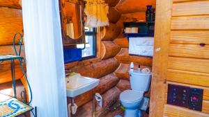 een badkamer met een toilet en een wastafel in een blokhut bij Blue River Inn. Com in Tishomingo +48 foto's