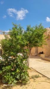 Φωτογραφία από το άλμπουμ του Dar massouada σε Tacape