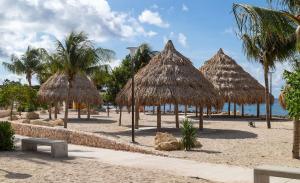 a beach with some straw umbrellas and the ocean at Cozy One-person Studio in Willemstad