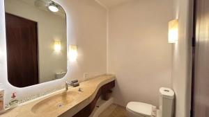 a bathroom with a sink and a toilet and a mirror at Dream Villa in Majahua in La Majahua +29 photos
