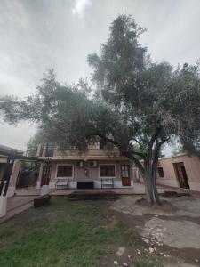 a building with a tree in front of it at El Aura l Complejo de apartamentos amoblados in Villa Krause