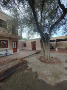 a large tree in front of a building at El Aura l Complejo de apartamentos amoblados in Villa Krause