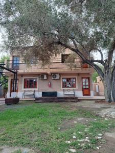 a house with a tree in front of it at El Aura l Complejo de apartamentos amoblados in Villa Krause