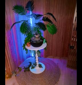 un supporto per piante con un teschio sopra di Le relax & vous a La Louvière Altre 4 foto