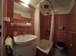 Gasthaus zum Kreuz في غرافنهاوسن: حمام مع حوض ودش ومرحاض