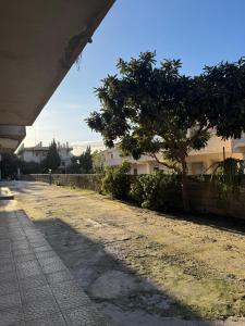 Dream في تروبيا: شارع فاضي فيه شجره ومبنى