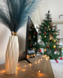 Billede fra billedgalleriet på Apartman Nikolic i Jagodina