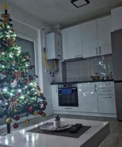 Billede fra billedgalleriet på Apartman Nikolic i Jagodina