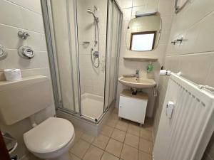 ein Badezimmer mit Dusche, Toilette und Waschbecken in der Unterkunft Gschwendtnerhof App13 Lincke in Aschau im Chiemgau + 24 Fotos
