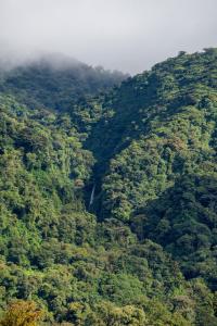 Příroda nedaleko vily