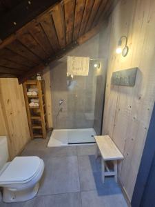 Ένα μπάνιο στο Chapa atrás - SalePatagonia +53 φωτογραφίες