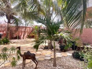 サン・ルイにあるKeur Léonのヤシの木の隣に立つラクダの像