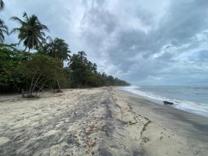 Naturlandskabet i nærheden af landstedet + 7 billeder