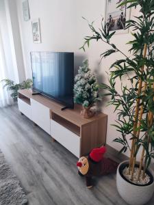 TV a/nebo společenská místnost v ubytování Dreams Apartment Vilafortuny