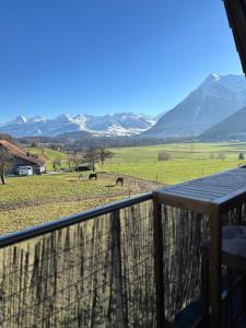 a view of horses in a field from a balcony at Bergpanorama, 20min Interlaken, Whirlpoolbadewanne in Reutigen