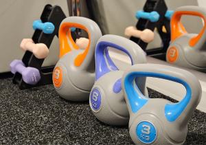 Fitness centrum a/nebo fitness zařízení v ubytování Sielskie Sitno