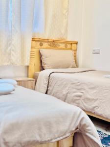 Imagen de la galería de Banana Surf Lodge & Surfcamp, en Tamraght Ouzdar