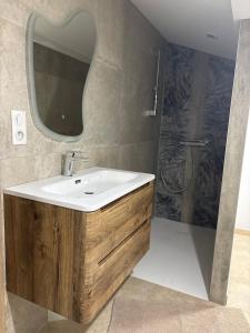 ein Badezimmer mit Waschbecken und Dusche mit Spiegel in der Unterkunft Gîtes Vosges, Spa, Sauna & Piscine in Moyenmoutier + 33 Fotos