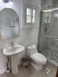a bathroom with a toilet and a sink and a shower at Villa Rio Grande in Santa Catalina