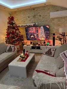 a living room with a christmas tree and a tv at DiVino Apartment in Tivat