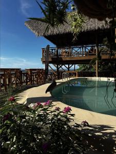 Bazén v ubytování Costa Catalina - Beachfront Escape nebo v jeho okolí