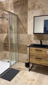 a bathroom with a shower and a sink and a mirror at Le gîte du château in Saint-Père-sur-Loire