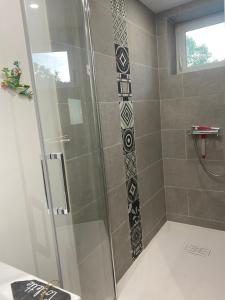 une douche avec une porte en verre dans une salle de bain dans l'établissement La ferme des souvenirs 3, à Felleries