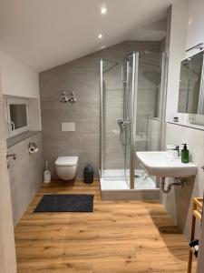 een badkamer met een douche, een toilet en een wastafel bij Leni Vacation Rental in Hattert