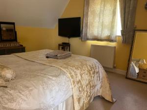 a bedroom with a bed and a tv and a mirror at Silsoe Cottage B&B in Silsoe