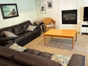 Et opholdsområde på Sumas Mountain basement suite