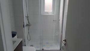 ein Badezimmer mit Dusche, Toilette und Waschbecken in der Unterkunft Departamento Céntrico Valdivia,Isla Teja in Valdivia + 7 Fotos
