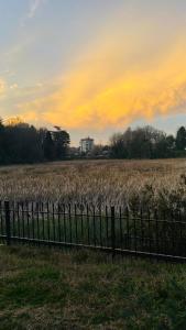 einen Zaun vor einem Maisfeld in der Unterkunft Departamento Céntrico Valdivia,Isla Teja in Valdivia