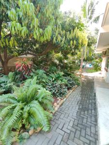 a garden with plants and trees and a sidewalk at Casa Los Mangales in Brisas de Zicatela
