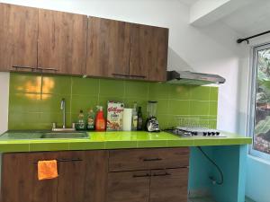 a kitchen with a sink and a green counter top at Casa Los Mangales in Brisas de Zicatela